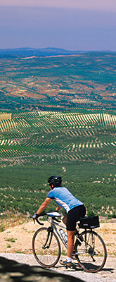 Andalucia Biking photo